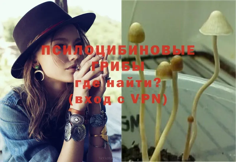 Галлюциногенные грибы Magic Shrooms  Жуков 